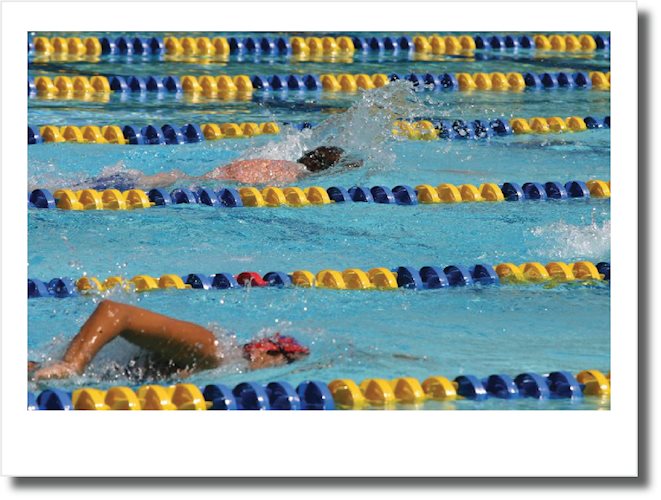 lap_swim_image_lane_lines_swimmers