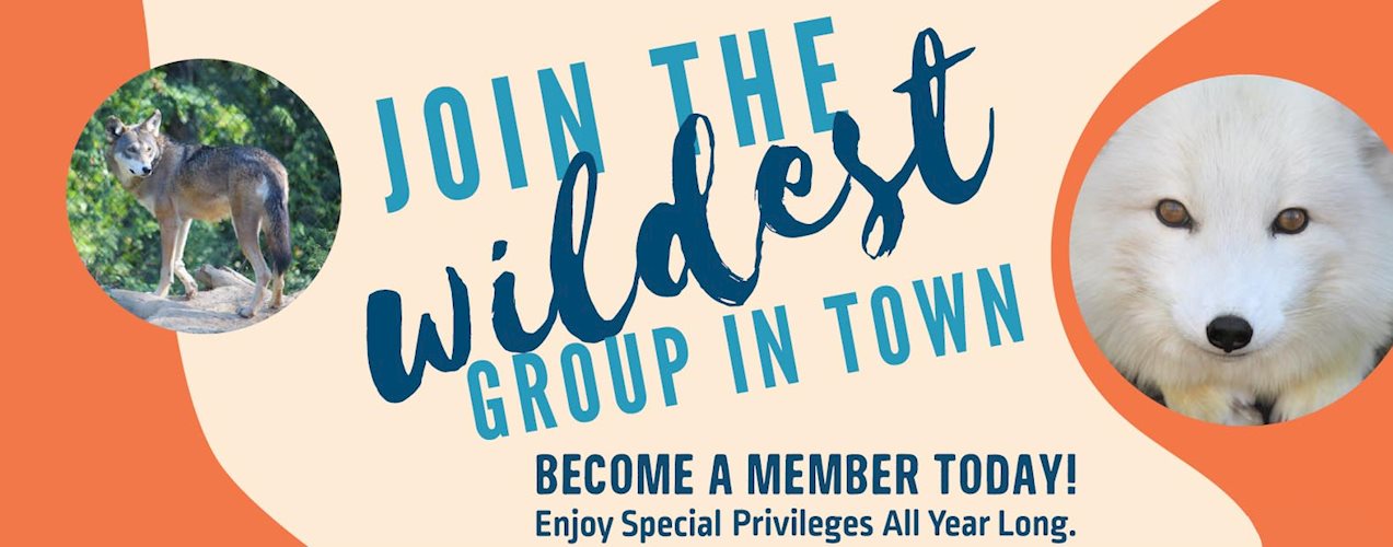 zoo_join_the_wildest_bunch_in_town_banner
