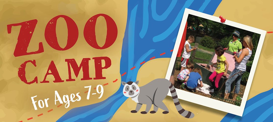 Zoo_Summer_Camp_Programs.JPG