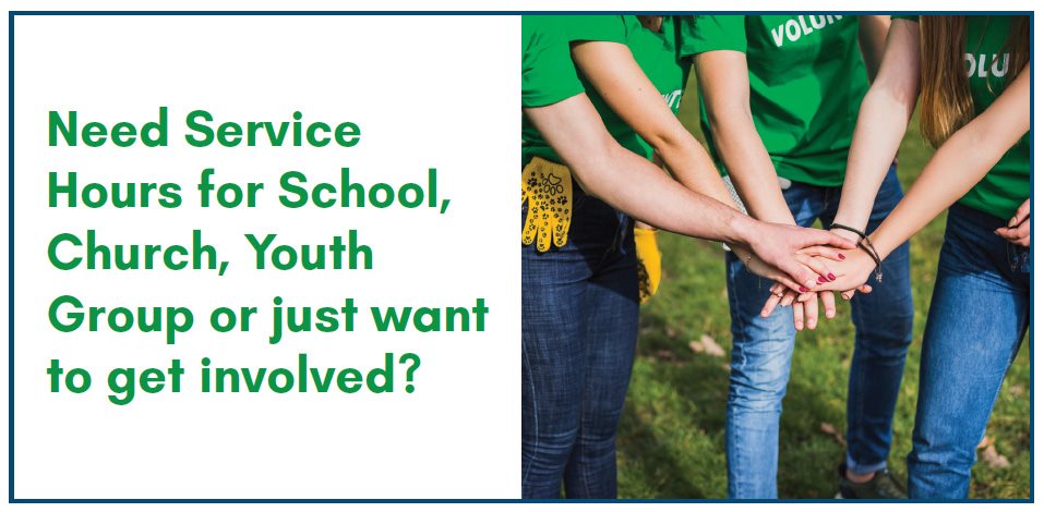 Need service hours for school, church, youth group or just want to get involved?