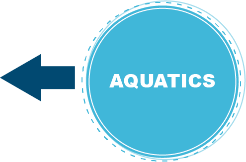 aqua button for aquatics left arrow link to page